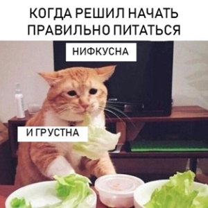 10 причин не взрослеть